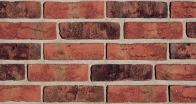 FORMBACK graphit-bunt